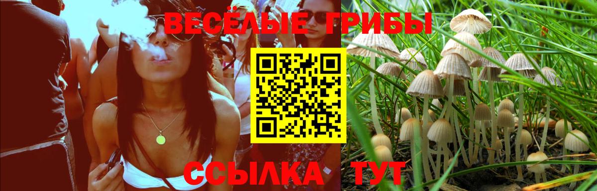 Бирск  Псилоцибиновые грибы мицелий  Вход с VPN 